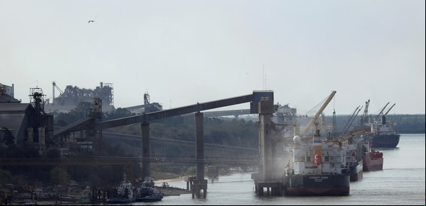 Soja: uno de cada tres barcos, hundido