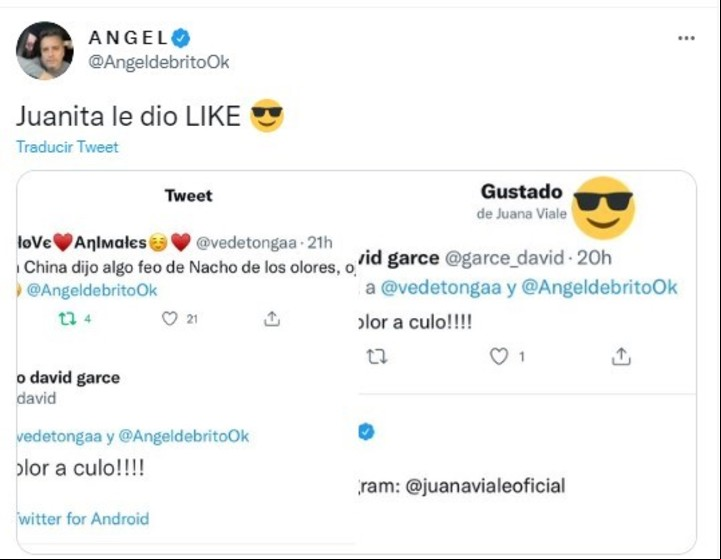 Ángel de Brito capturó el like que Juana Viale le hizo a la picante publicación