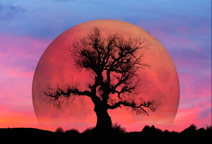 Se les asignaron distintos nombres a las “Lunas” para identificar las estaciones del año o los meses. Foto: Shutterstock.