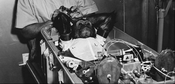 Enos, el primer chimponauta que llegó al espacio