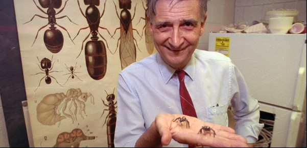 A los 92 años murió Edward Wilson, "el hombre hormiga"