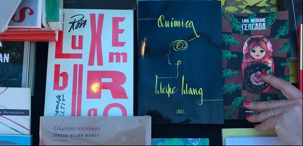 Editoriales independientes: los libros que vienen y las nuevas estrategias, en un marco de zozobra  