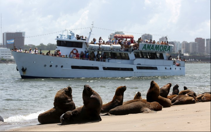 Crucero Anamora, en el puerto de Mar del Plata. Foto de EMTUR