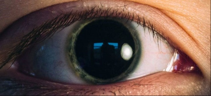 Las células de la retina continuaron reaccionando a la luz hasta cinco horas después de la muerte.