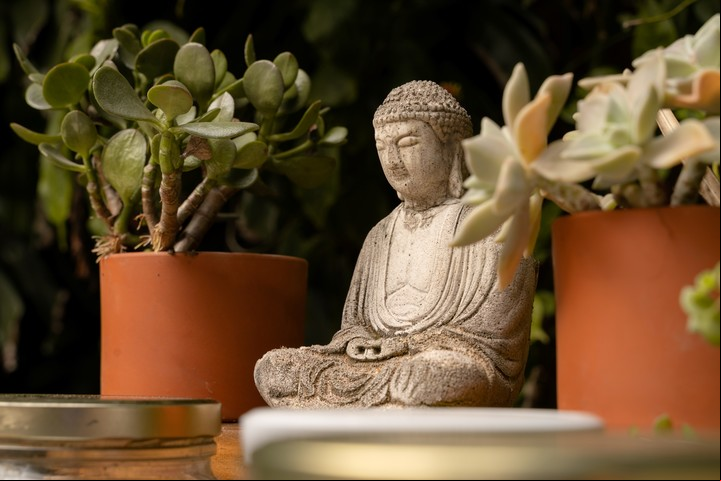 Los buda no deben ubicarse en la cocina, los baños o los dormitorios. Es mejor optar por áreas como el living. Foto: ilustración Shutterstock.
