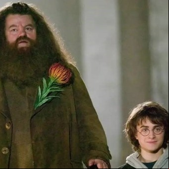 Cómo Daniel Radcliffe despidió a su amigo Robbie Coltrane, Hagrid en la saga de Harry Potter