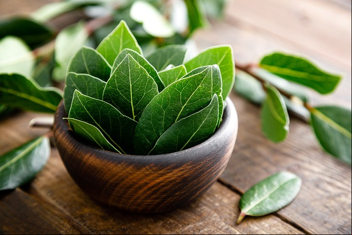 Para el dinero y la abundancia, los rituales proponen quemar hojas de laurel con sal o azúcar. Foto: Shutterstock