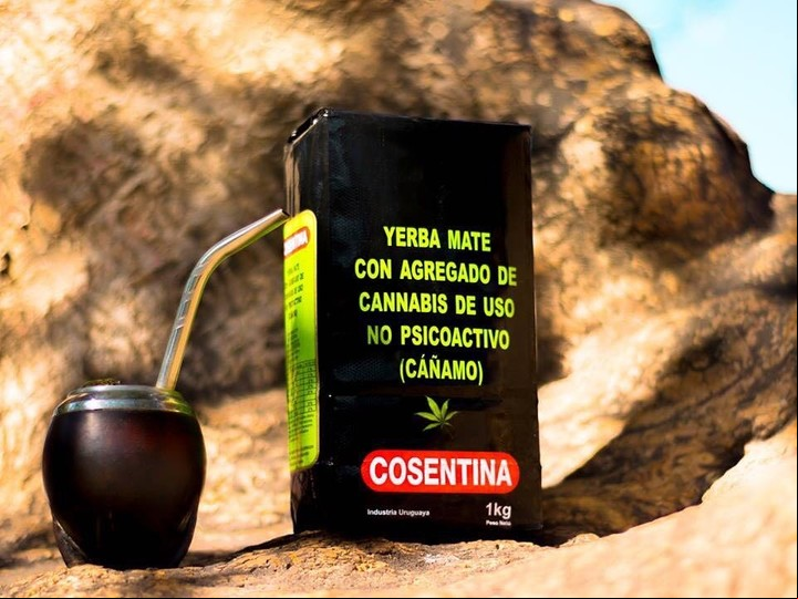 La yerba mate con cannabis Cosentina.