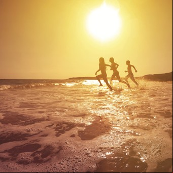 Cuál es la diferencia entre la vitamina D y la D3