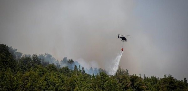 Feroz incendio en El Bolsón: evacuaron a vecinos y turistas, aseguran que fue intencional y hay un detenido