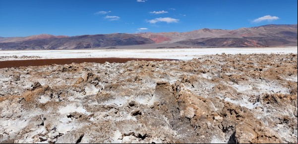 Un grupo chino negocia con YPF y Catamarca para instalar una planta para procesar litio