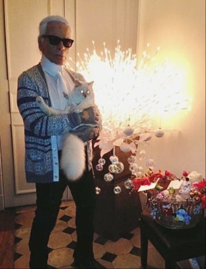 El diseñador alemán murió en 2019 y su gata "heredó" parte de su fortuna. Foto: Instagram