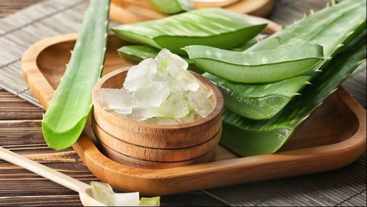 El gel que contiene la planta de aloe vera es hidratante y calmante.