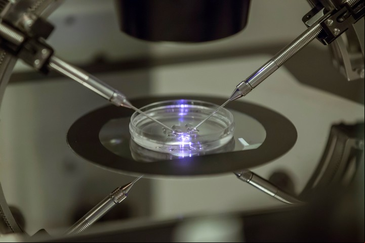 Los médicos utilizaran un innovador procedimiento con el objetivo de evitar que los niños hereden enfermedades incurables (AP).