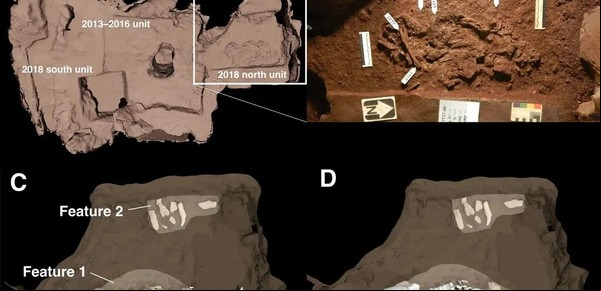 ¿Cómo enterraban a sus muertos los ancestros de los humanos?