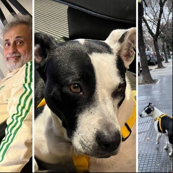 Jorge Rial le puso un particular nombre a su nuevo perro: ¿Fue un palo para su hija Morena?