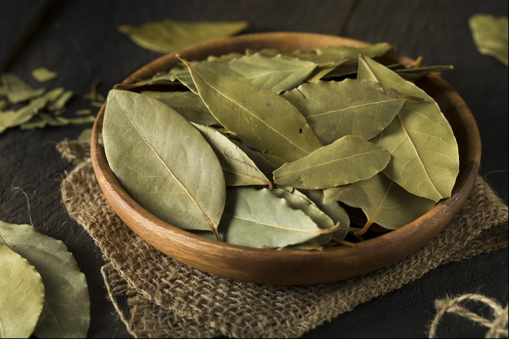Desde la antiguedad, el laurel se asocia a protección y victoria. Foto: Shutterstock