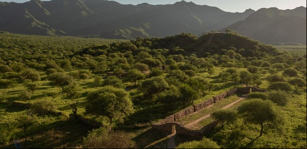 Secretos Incas en el corazón de Argentina: dónde quedan las ruinas escondidas del Imperio y cómo visitarlas