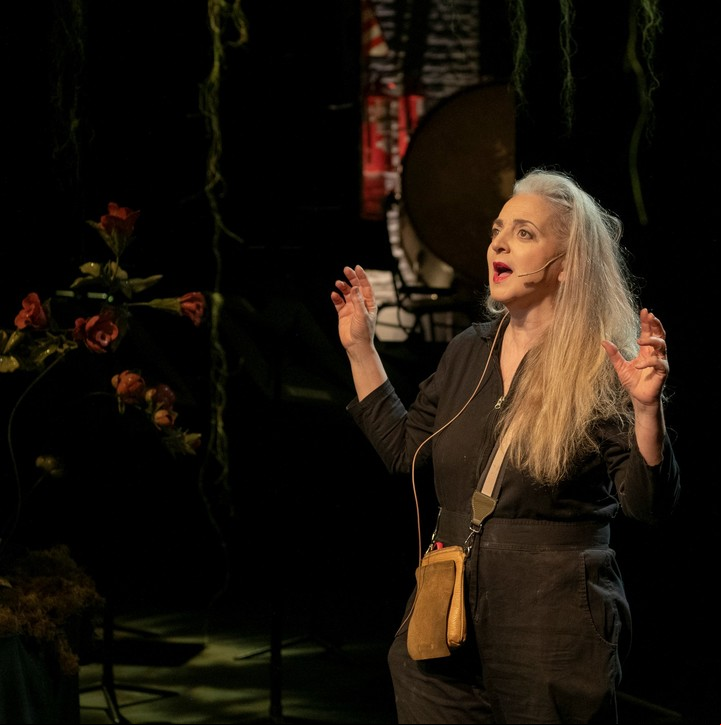Nicola Costantino cumple un viejo sueño al estrenar "Artista Ex Machina" en el Centro de Experimentación del Teatro Colón. Foto de prensa Teatro Colón/Máximo Parpagnoli.