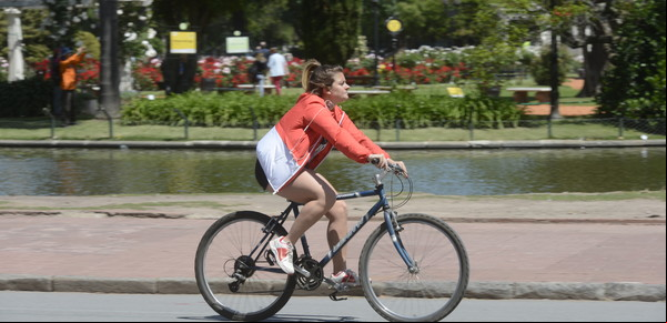 El reino de las bicicletas