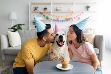 Carta natal para mascotas: posibilidades y limitaciones
