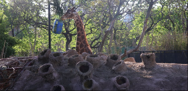 Infiltrada, Denise Groesman creó un refugio en el Ecoparque