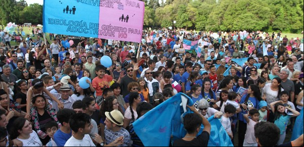 La ESI produjo más grieta que buenos resultados