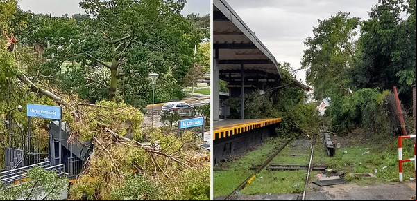 Cómo el temporal afectó el servicio de trenes en la Ciudad y el conurbano: demoras, ramales suspendidos y postes de luz sobre las vías