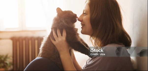 Nueva diplomatura en la UBA te enseña a entrenar a tu gato: cómo inscribirse y cuánto dura