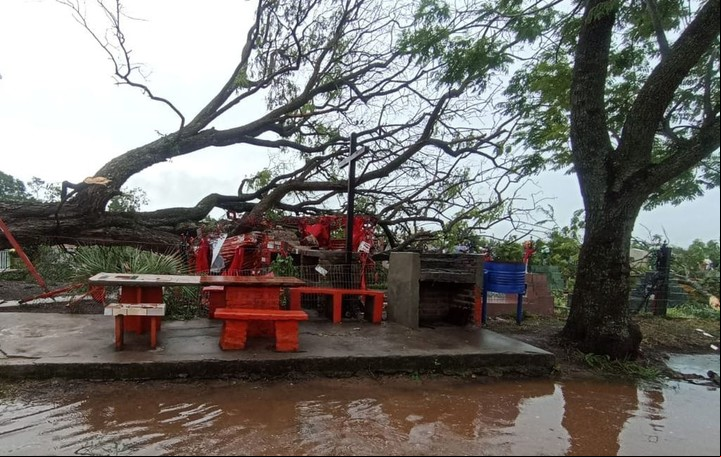Tumba del Gauchito Gil en el cementerio La Merced de la ciudad de Mercedes, Corrientes. Foto Télam