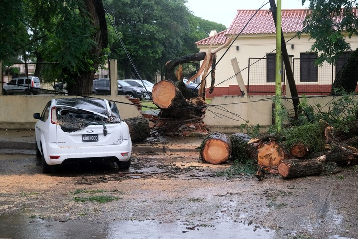 Los daños del temporal de viento y lluvia que se desató esta madrugada en Corrientes. Foto: Télam