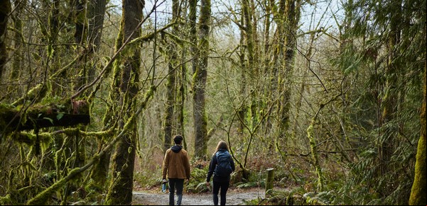 Los terapeutas cambian el sofá por el aire libre