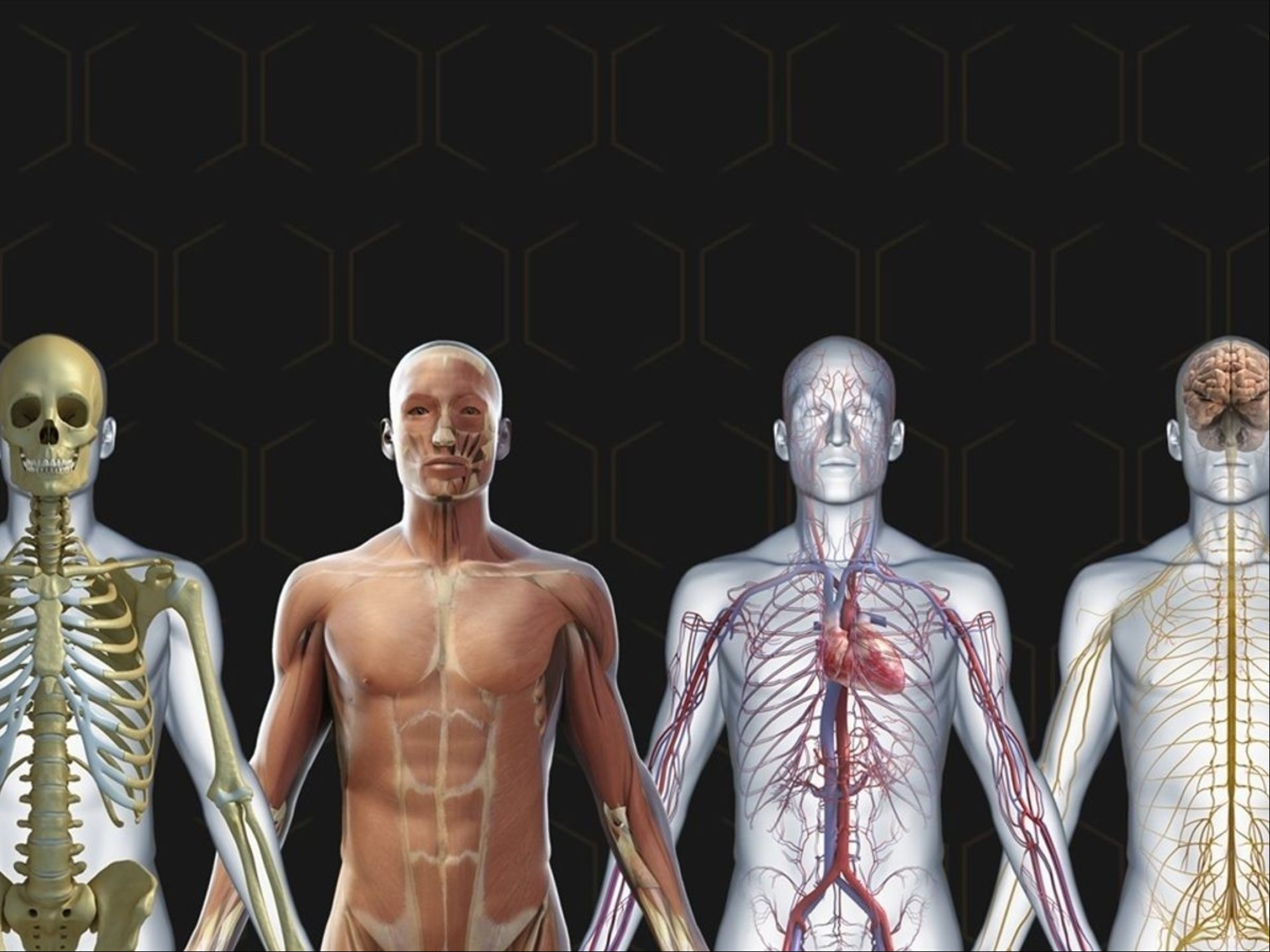 Qué le pasa al cuerpo de una persona cuando muere 
