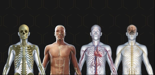 Qué le pasa al cuerpo de una persona cuando muere