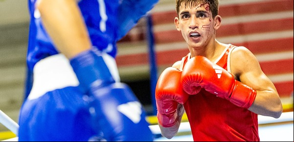 El boxeo argentino, contra las cuerdas para llegar a París 2024: están en riesgo más de 100 años de presencia olímpica