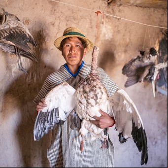 Dos argentinos entre los ganadores de los Sony World Photography Awards 2024