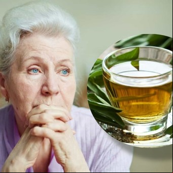 Té de salvia para cuidar el cerebro y mejorar la memoria: cómo se prepara