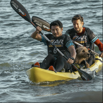 Arthur, la película que demuestra por qué el perro es el mejor amigo del hombre
