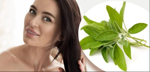Cómo usar la salvia para fortalecer el pelo y cubrir las canas