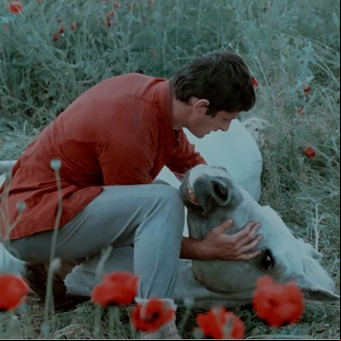 Bafici 2024: siete películas recomendadas del festival que celebra 25 años de cine independiente
