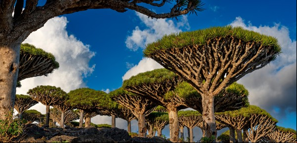 Brujos poderosos, serpientes voladoras y otras leyendas en una misteriosa isla del océano Índico que parece de otro mundo