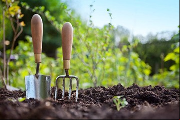 Esta es la forma correcta de germinar brotes de hortalizas en casa según un experto en alimentos de origen vegetal