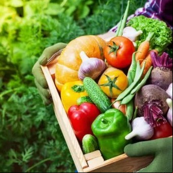 Si las sembrás en otoño, tendrás cosecha para invierno: 4 verduras que podés tener directo de tu huerta