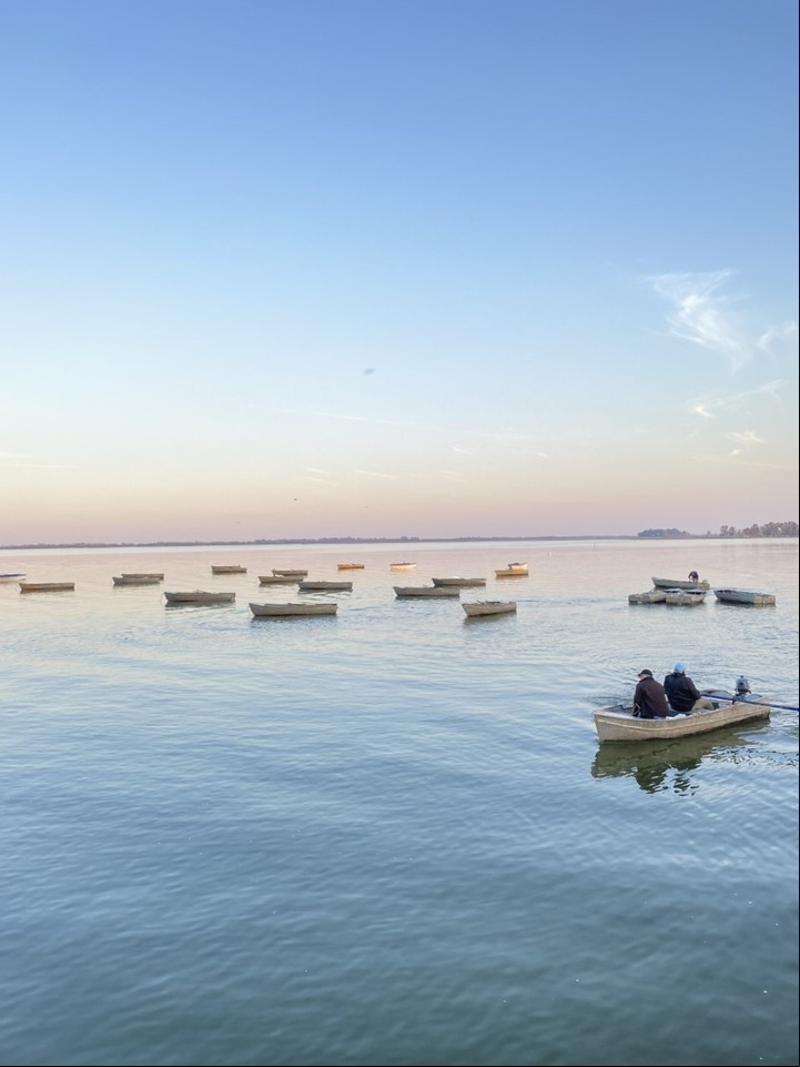Botes del Club de Pesca, en la laguna de Lobos.