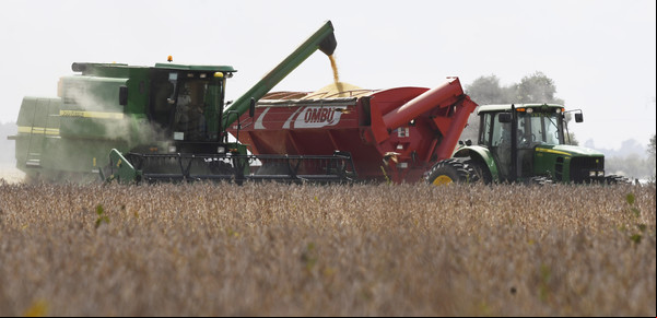 A un mes del nuevo esquema cambiario, se registraron ventas al exterior del agro por casi US$ 4.000 millones
