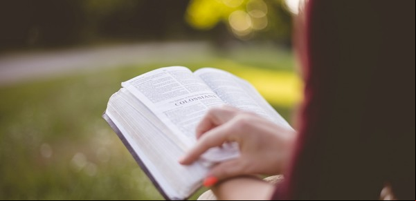 Los libros más vendidos del mundo en 2024: ¿cuál es el Número 1?
