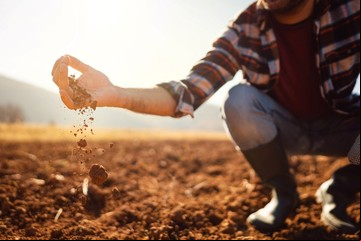 Brasil aplica ocho veces más nutrientes a sus suelos agrícolas que Argentina