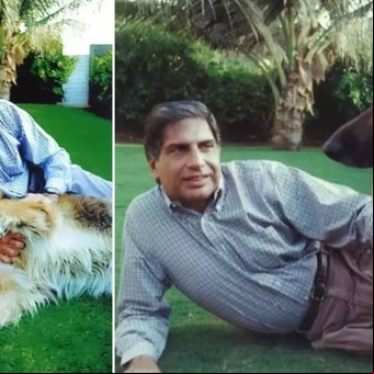 Uno de los mayores millonarios del mundo dejó casi toda su herencia a Tito, su perro