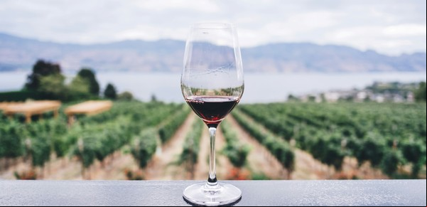 Ya en el siglo XIX, los visitantes extranjeros elogiaban el vino argentino