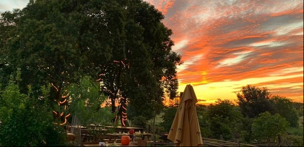 En Los Cardales, un restaurante para comer como en el campo: buñuelos y tortillas, de la granja y la huerta al plato